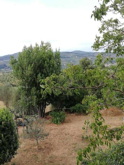 I Rosai Appartamento Sulle Colline Fiorentine Bagno a Ripoli Exteriör bild