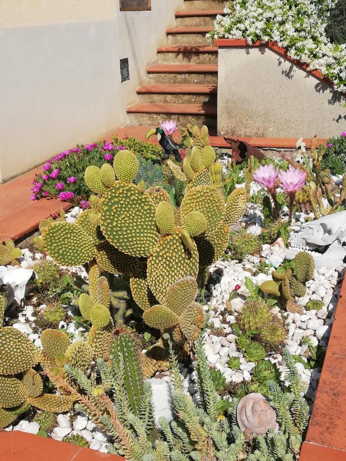 I Rosai Appartamento Sulle Colline Fiorentine Bagno a Ripoli Exteriör bild